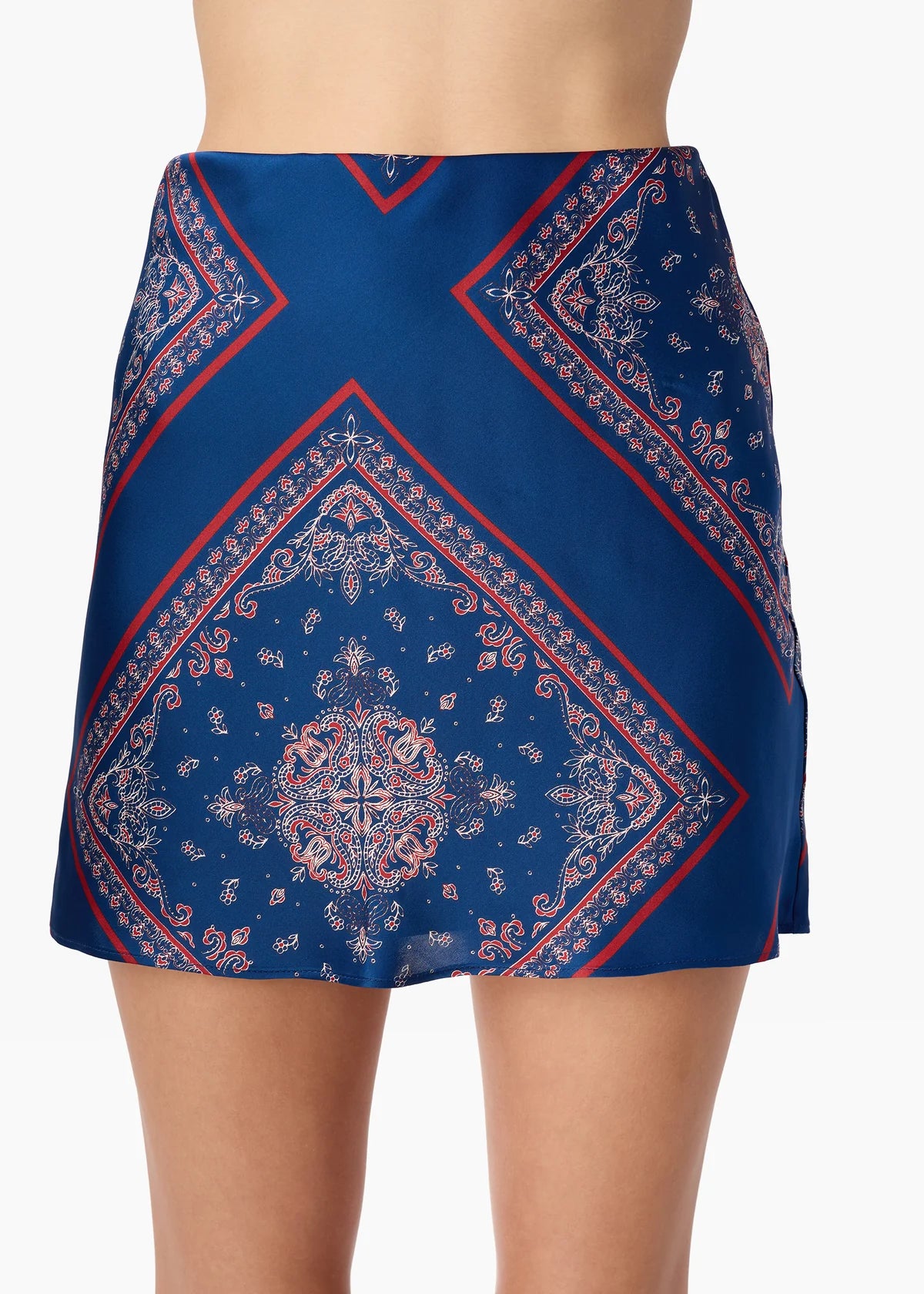 Aviva Mini Skirt