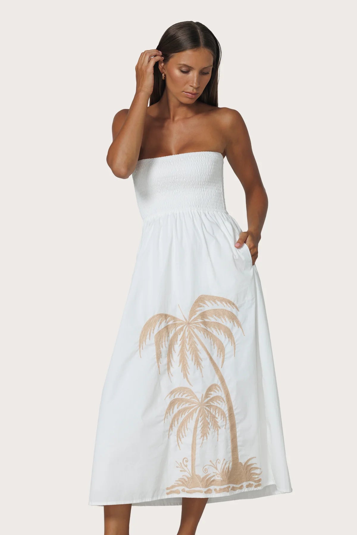 Dion Strapless Embroidered Dress