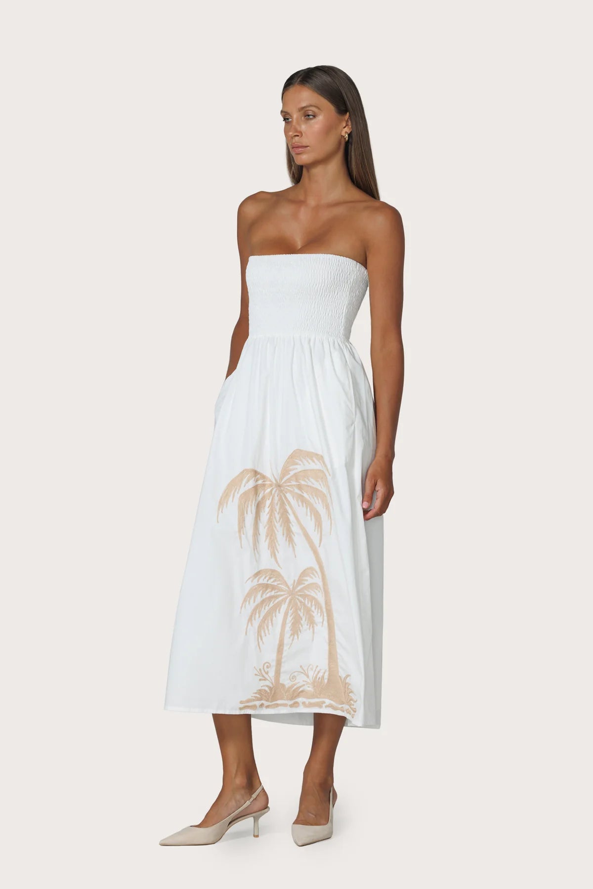 Dion Strapless Embroidered Dress