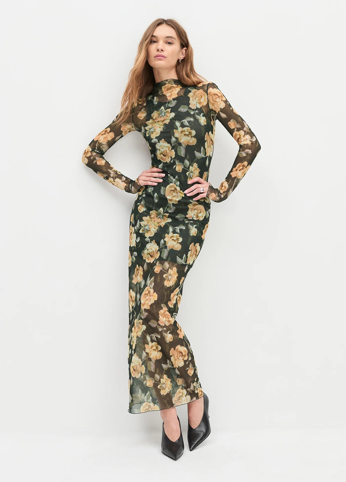 The Sheer Fantasy Dress