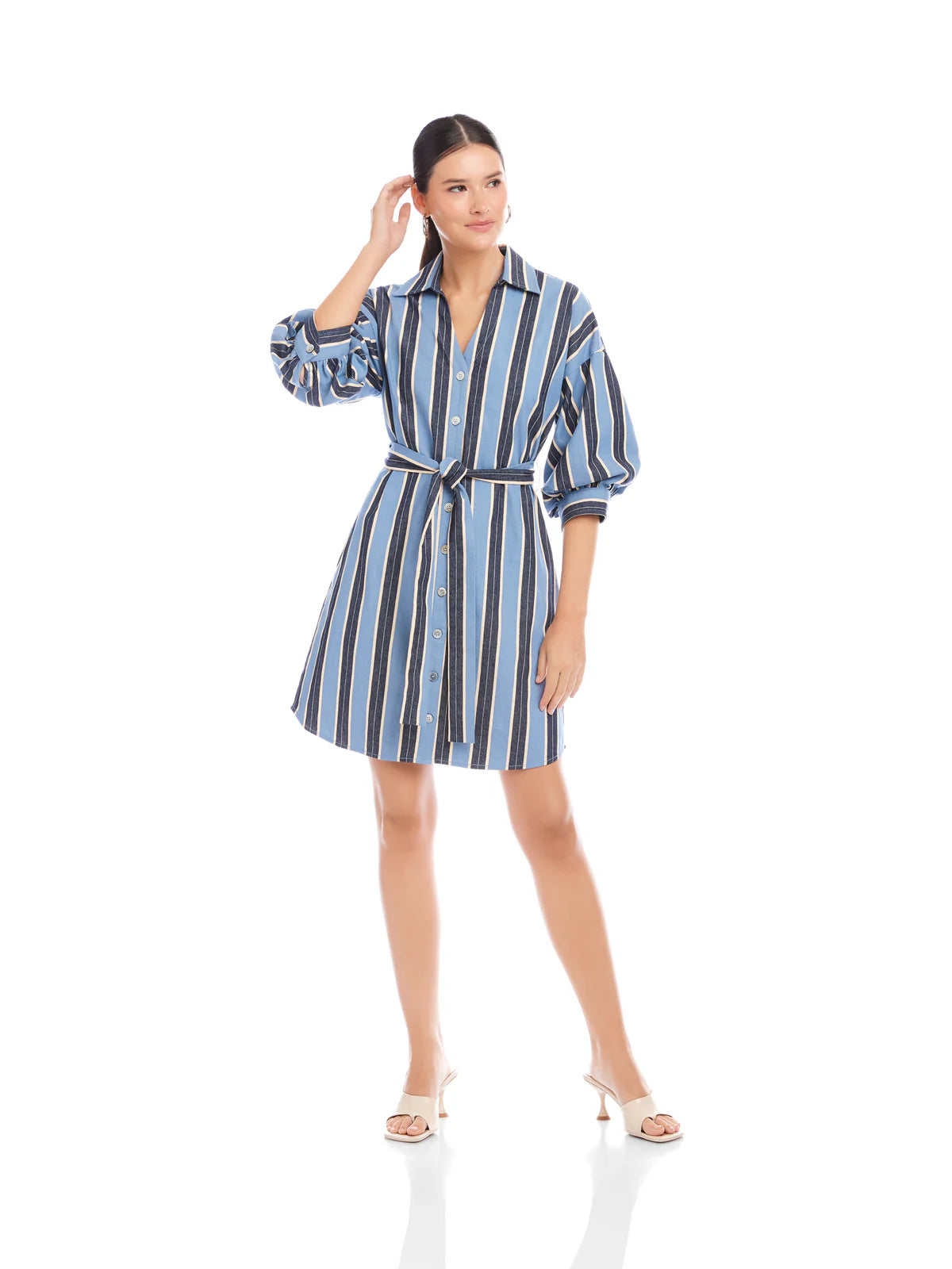 Blaire Lantern Sleeve Dress