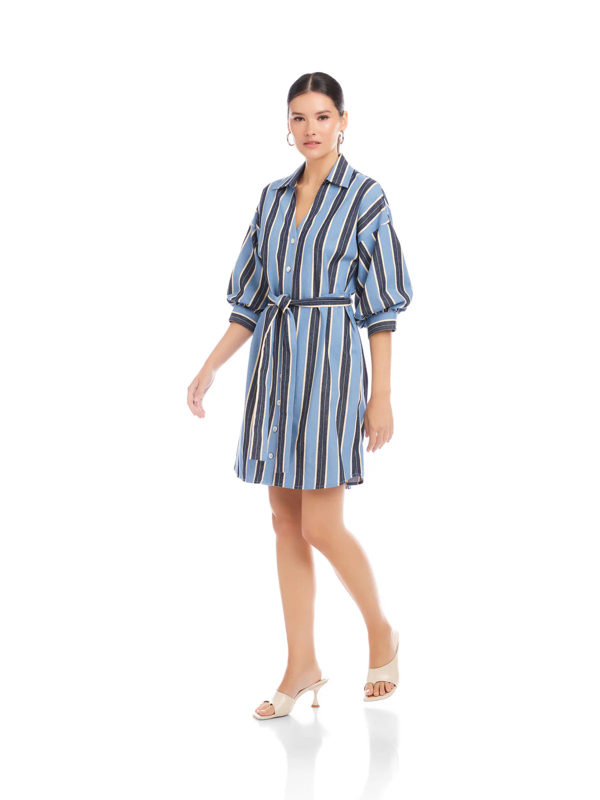 Blaire Lantern Sleeve Dress