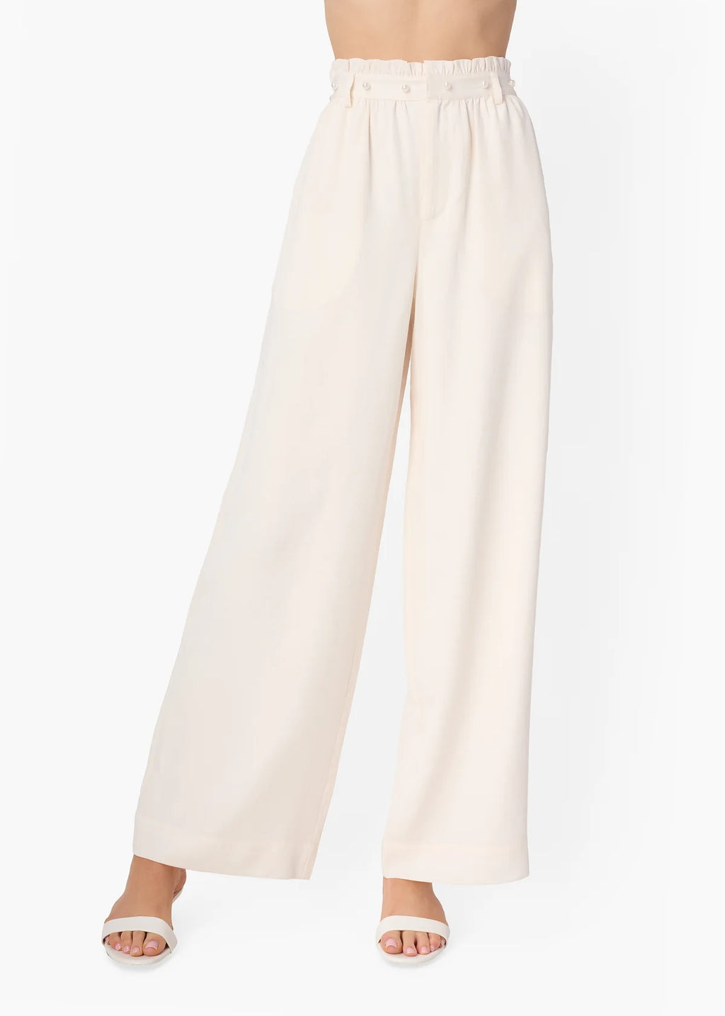 Hudson High Rise Pant